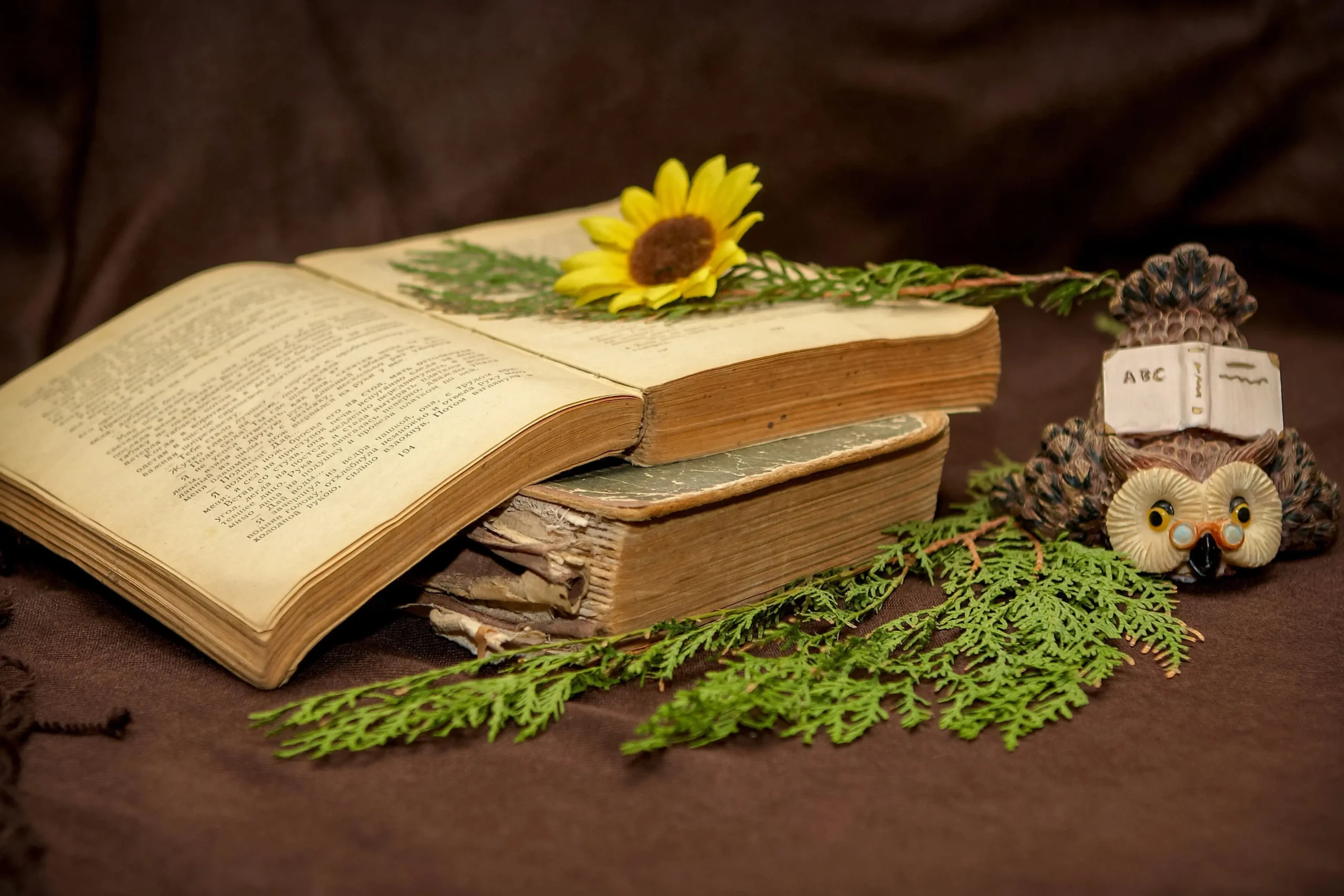 Blog Catherine Ringot Tarot